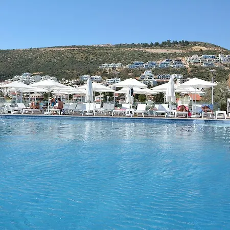 Kalamar Kalkan