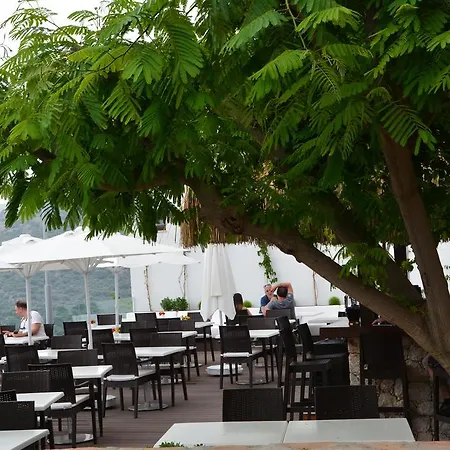 Kalamar Kalkan