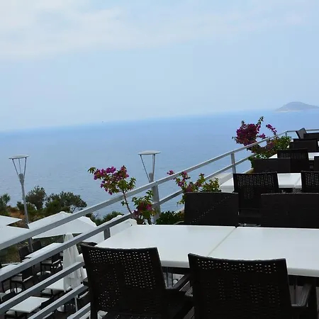 Kalamar 3* Kalkan