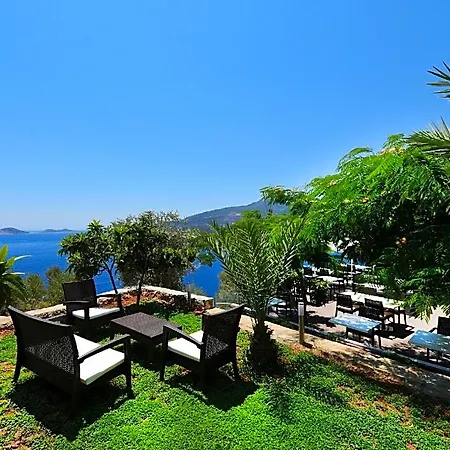 Kalamar 3* Kalkan