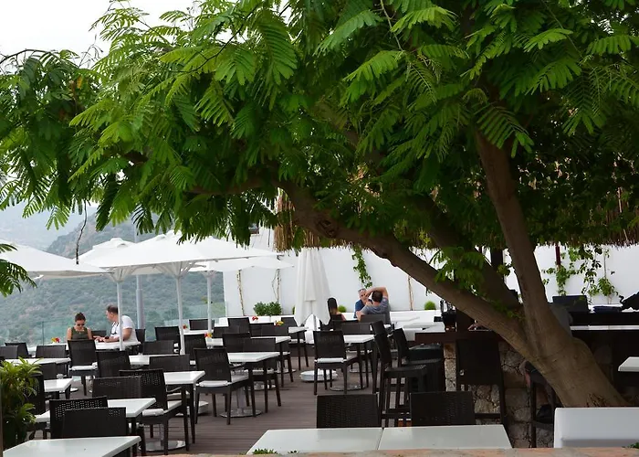 Kalamar Kalkan
