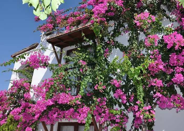 Kalamar Bed & Breakfast 3*