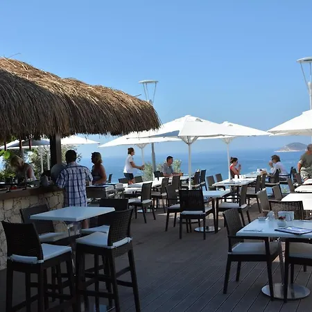 Oda ve Kahvaltı Kalamar