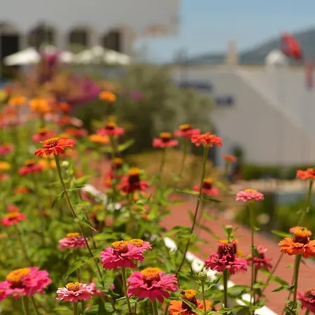 Kalamar 3* Καλκάν